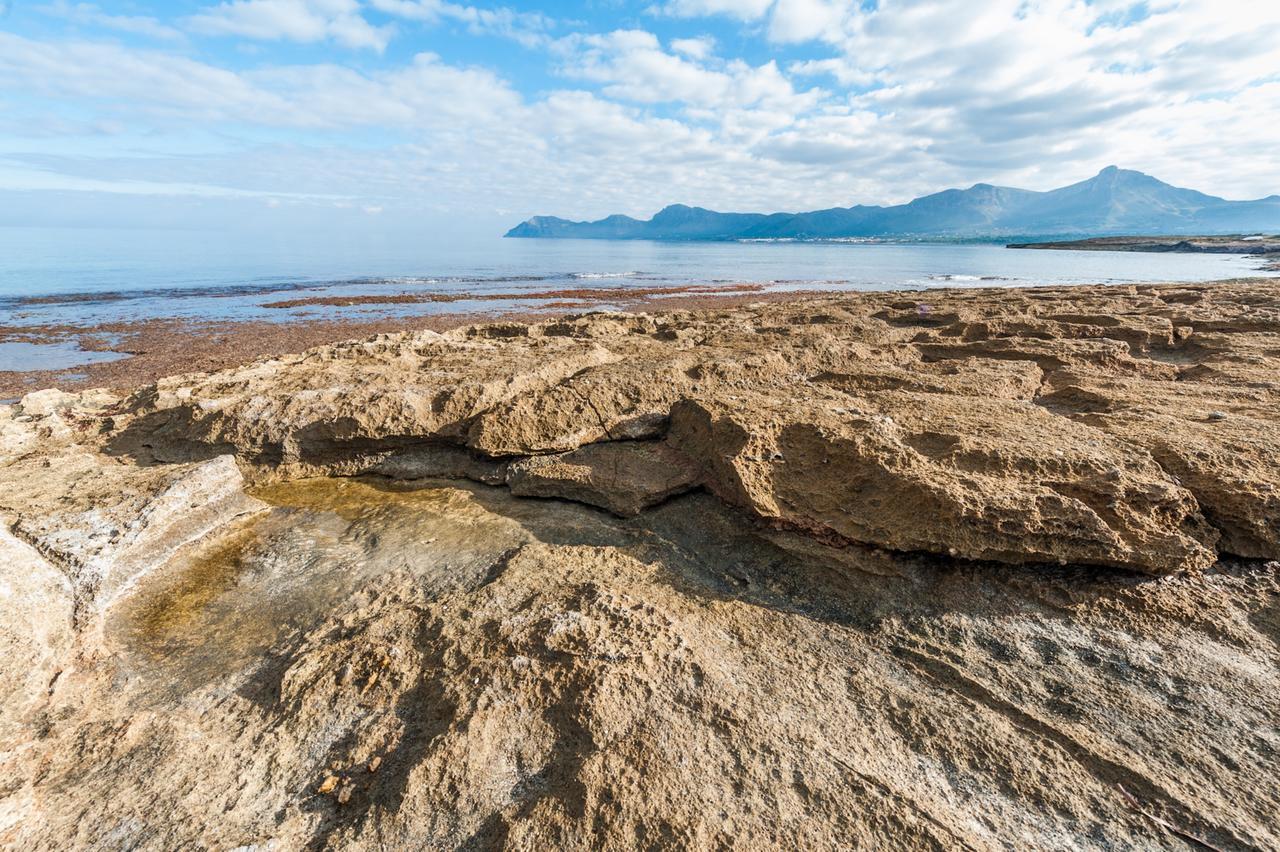 Ombra De Pins Villa Son Serra de Marina Ngoại thất bức ảnh